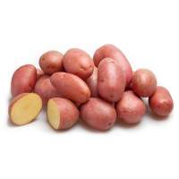 Насіннєва картопля Алуетт (середньостиглий) 1 репродукція