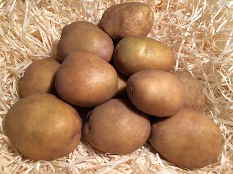 Семенной картофель Околица (среднеспелый) элита