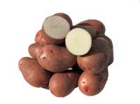Семенной картофель Мелания (среднеспелый) элита