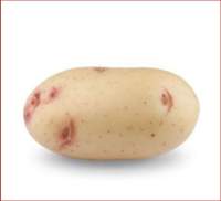 Насіннєва картопля Пердиз еліта (середньорання)