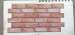 Декоративна ПВХ панель коричнево-рожева цегла 960х480х4мм SW-00001426