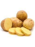 Насіннєва картопля Бельмонда (середньорання) 1 репродукція