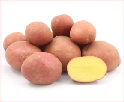 Насіннєва картопля Есмі (рання) 1 репродукція