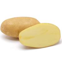 Насіннєва картопля Доната (середньорання) 1 репродукція