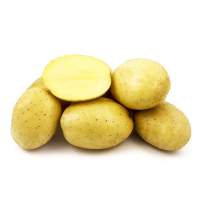 Насіннєва картопля Прада (1 репродукція)