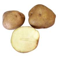 Насіннєва картопля Щедрик (ранній) еліта