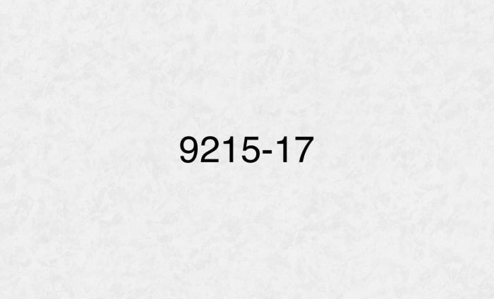 Шпалери Мегаполіс 9216-17 вінілові на флізеліновій основі (1,06х10,05)